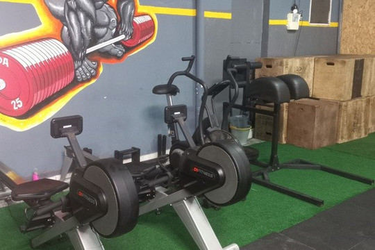 Imagem 3 da galeria do parceiro Centro de Treinamento Físico Horda