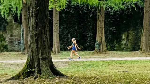 Immagine 2 dalla galleria del partner Italent Fitness Spina Verde