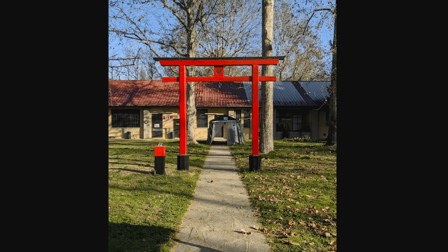 Immagine 2 dalla galleria del partner Yoshin Ryu - Sede Ichiban