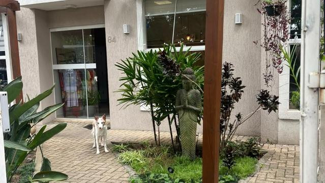 Imagem 2 da galeria do parceiro Despertar Yoga