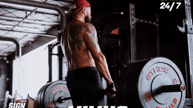 Image 1 from vivus fitness lab partner gallery