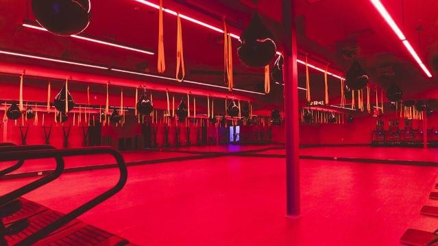 Image 3 from Trufusion partner gallery