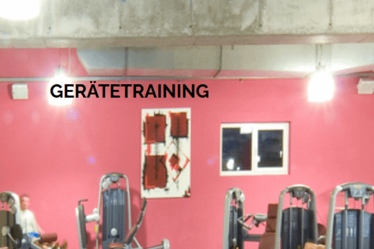 Bild 2 von American Fitness Bad Dürkheim Partnergalerie