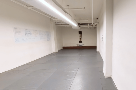 Image 3 from Radical MMA partner gallery