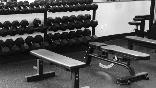 Image 3 from Prevail Strength & Conditioning partner gallery