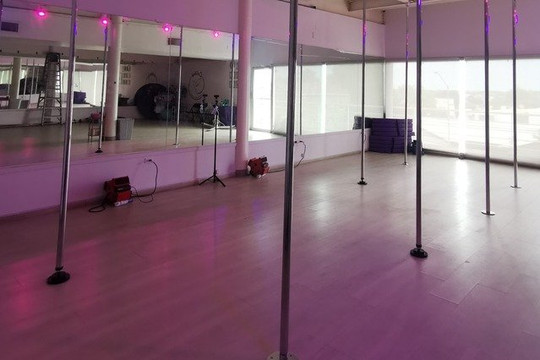 Imagen 1 de la galería del partner Colibrí Pole Fitness Studio