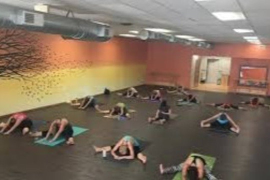 Image 3 from Pure Fitness 4 You partner gallery