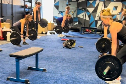 Image 3 from Miracle Performance partner gallery