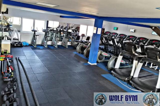 Imaginea 1 din Wolf Gym Fitness & Bodybuilding galeria partenerului