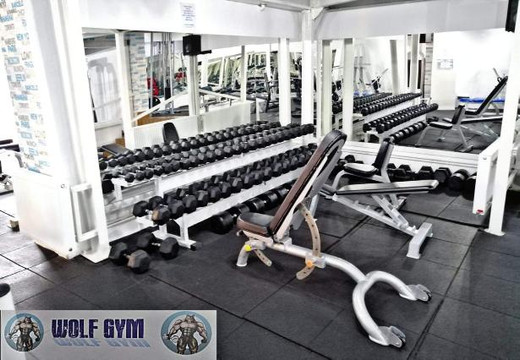 Imaginea 3 din Wolf Gym Fitness & Bodybuilding galeria partenerului
