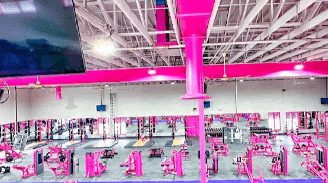 Image 3 from Jersey Girls Blenheim partner gallery