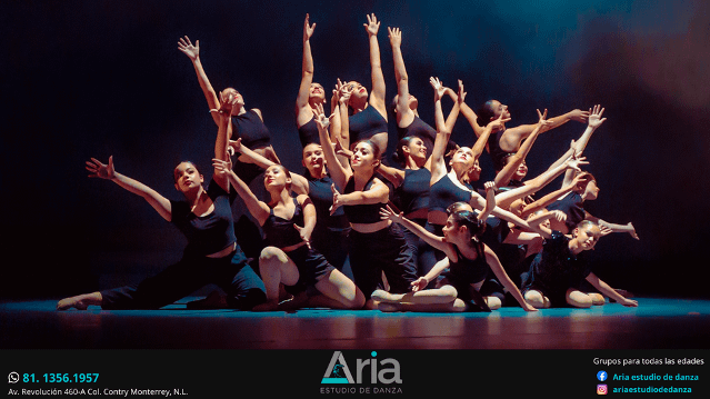Imagen 1 de la galería del partner Aria Estudio de Danza