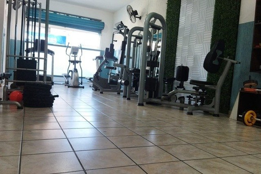 Imagem 1 da galeria do parceiro Studio Lottus