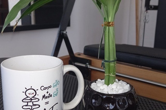 Imagem 1 da galeria do parceiro Vida Plena Studio de Pilates