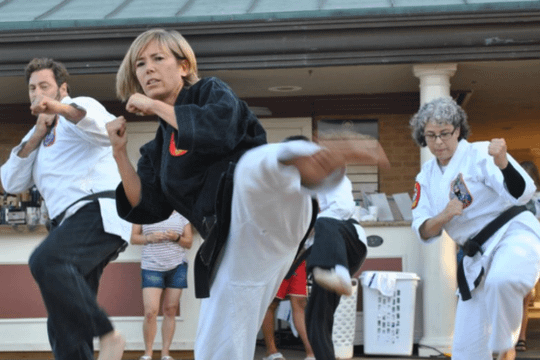 Image 1 from Texas Isshinryu Karate Kai of Denton partner gallery