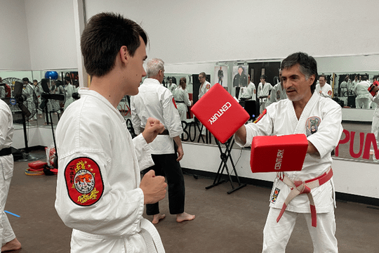 Image 2 from Texas Isshinryu Karate Kai of Denton partner gallery