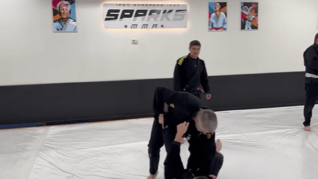 Image 3 from Sparks Martial Arts Academy partner gallery