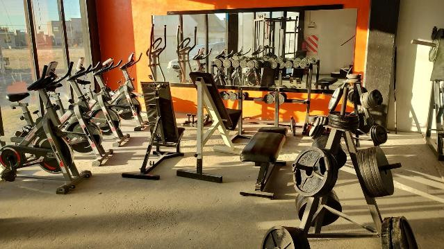 Imagen 1 de la galería del partner Gym elysium