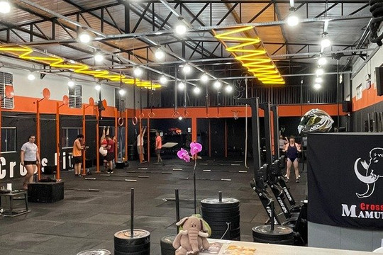 Imagem 3 da galeria do parceiro MAMUTHUS CROSSFIT