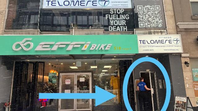 Image 2 de la galerie du partenaire Telomere Fitness