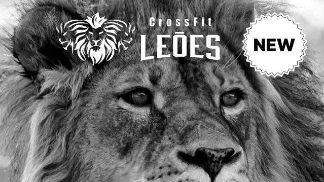 Imagem 1 da galeria do parceiro Crossfit Leões