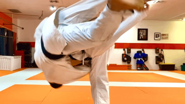 Image 3 from The Dojo Martial Arts & Fitness Oldsmar partner gallery