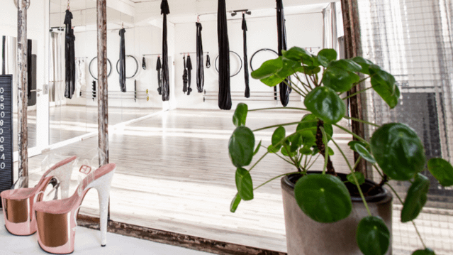 Bild 1 von Stadtgazellen Osnabrück Partnergalerie