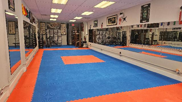 Image 3 from Freddie's Modern Kung Fu partner gallery