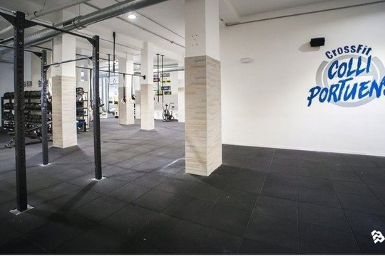 Immagine 2 dalla galleria del partner CrossFit Colli Portuensi