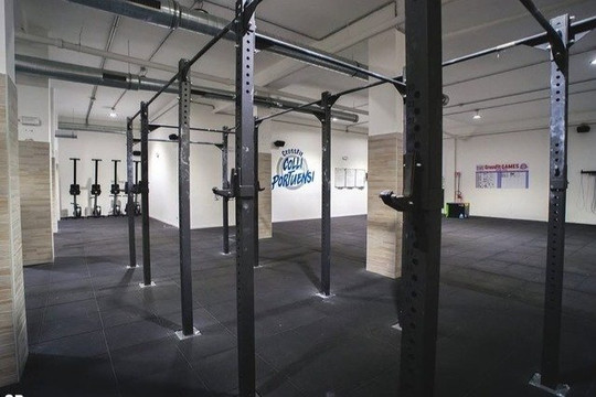 Immagine 3 dalla galleria del partner CrossFit Colli Portuensi