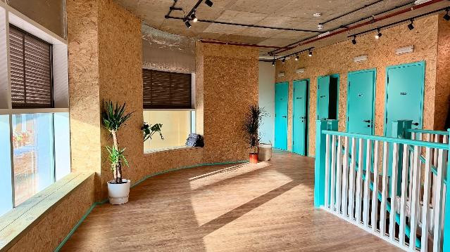 Image 2 from LevelOut - Kingston partner gallery