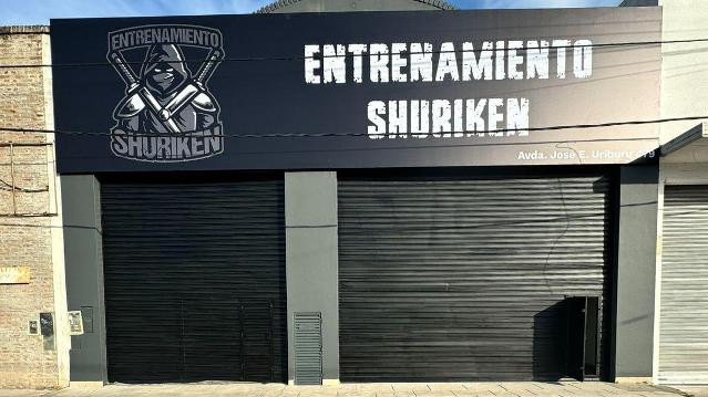 Imagen 2 de la galería del partner Entrenamiento Shuriken