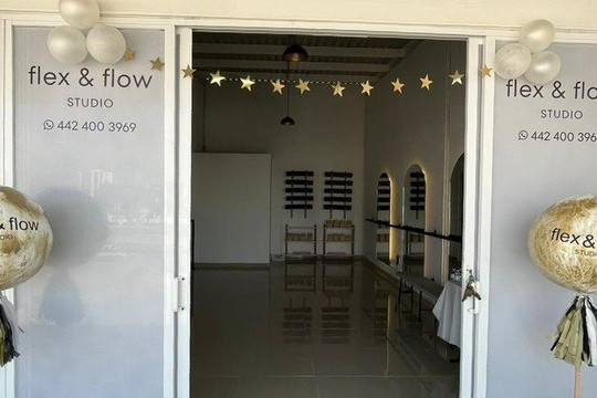 Imagen 2 de la galería del partner flex & flow