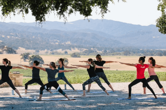 Image 1 from Mobile Yoga partner gallery