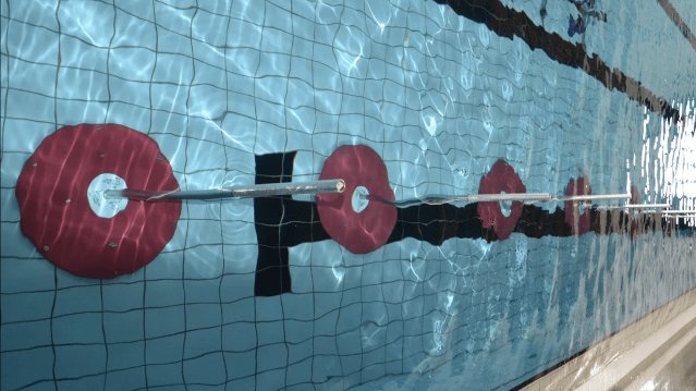 Immagine 3 dalla galleria del partner Esseci Nuoto