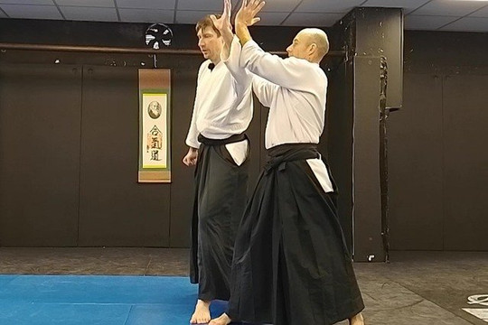 Image 3 from Takemusu Aikido Fingal partner gallery