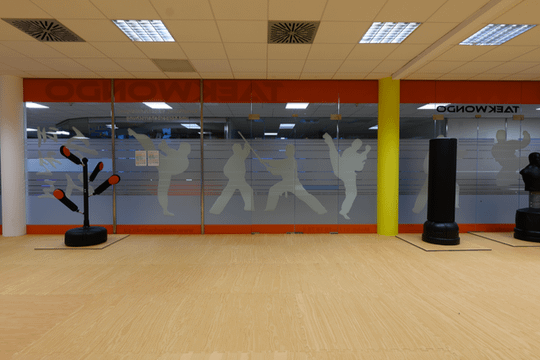 Bild 3 von WinTaekwondo Dorfen I Tristan Maximilian Melchert I traditionelles Taekwondo Partnergalerie