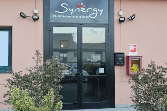 Immagine 2 dalla galleria del partner Palestra Sinergy