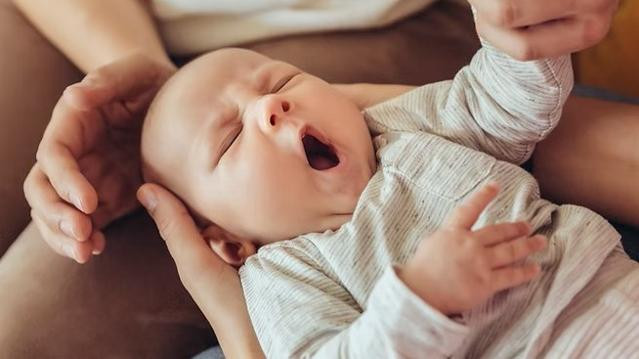 Bild 3 von MEIN BABY Partnergalerie