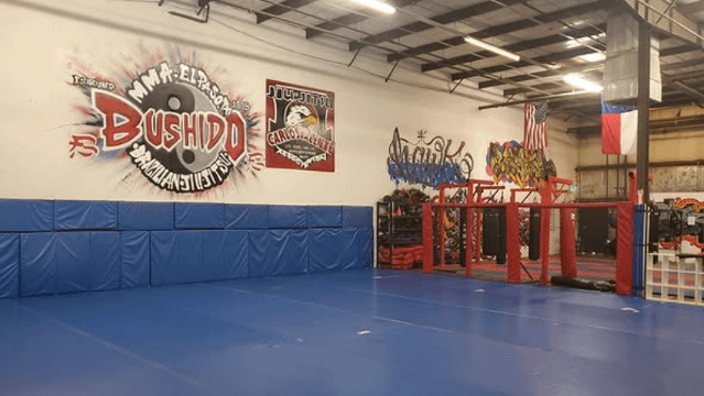 Image 1 from Bushido MMA and BJJ Academy partner gallery