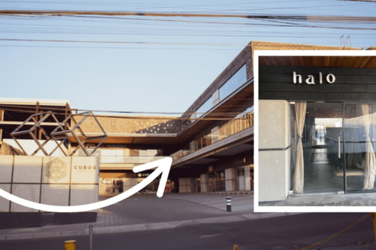 Imagen 2 de la galería del partner Halo Movement Studio