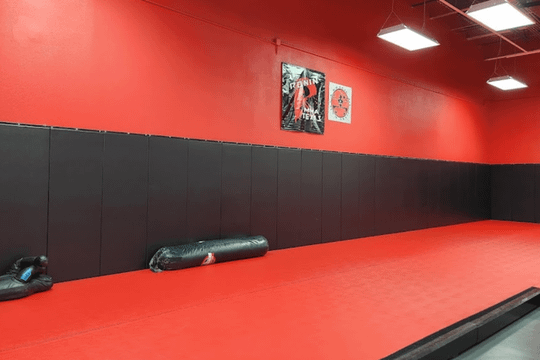 Image 1 from RONIN MMA TEXAS, Brazilian Jiu-Jitsu, Muay Thai partner gallery