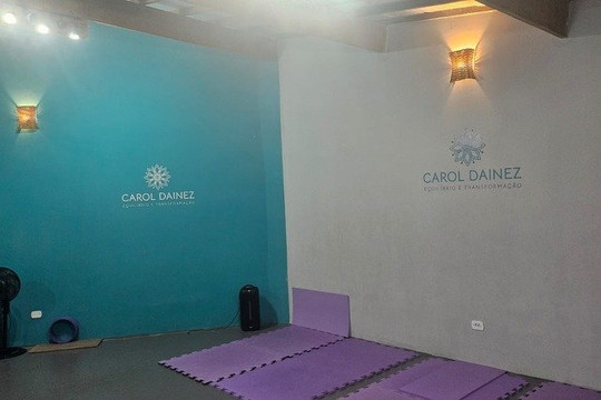 Imagem 2 da galeria do parceiro Carol Dainez
