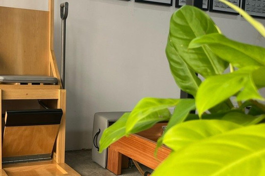 Imagem 1 da galeria do parceiro Fluss Pilates Clássico