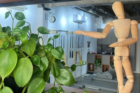 Imagem 2 da galeria do parceiro Fluss Pilates Clássico