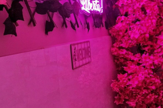 Imagem 3 da galeria do parceiro Ahmetista Fisioterapia