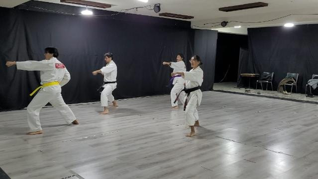 Imagen 1 de la galería del partner Karate-Do Gin Rosu Centro Histórico