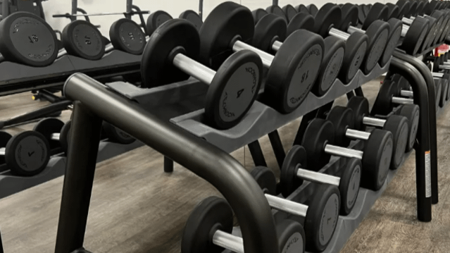 Immagine 3 dalla galleria del partner GYMED