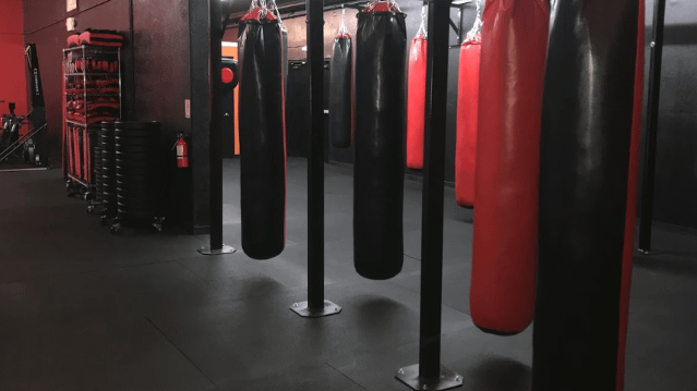 Image 3 from World Gym Tracy partner gallery