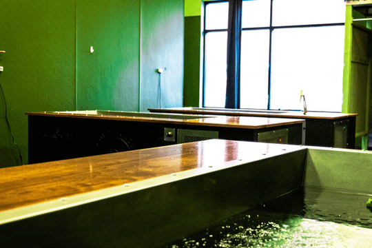 Image 1 from Cold Plunge Coffee partner gallery